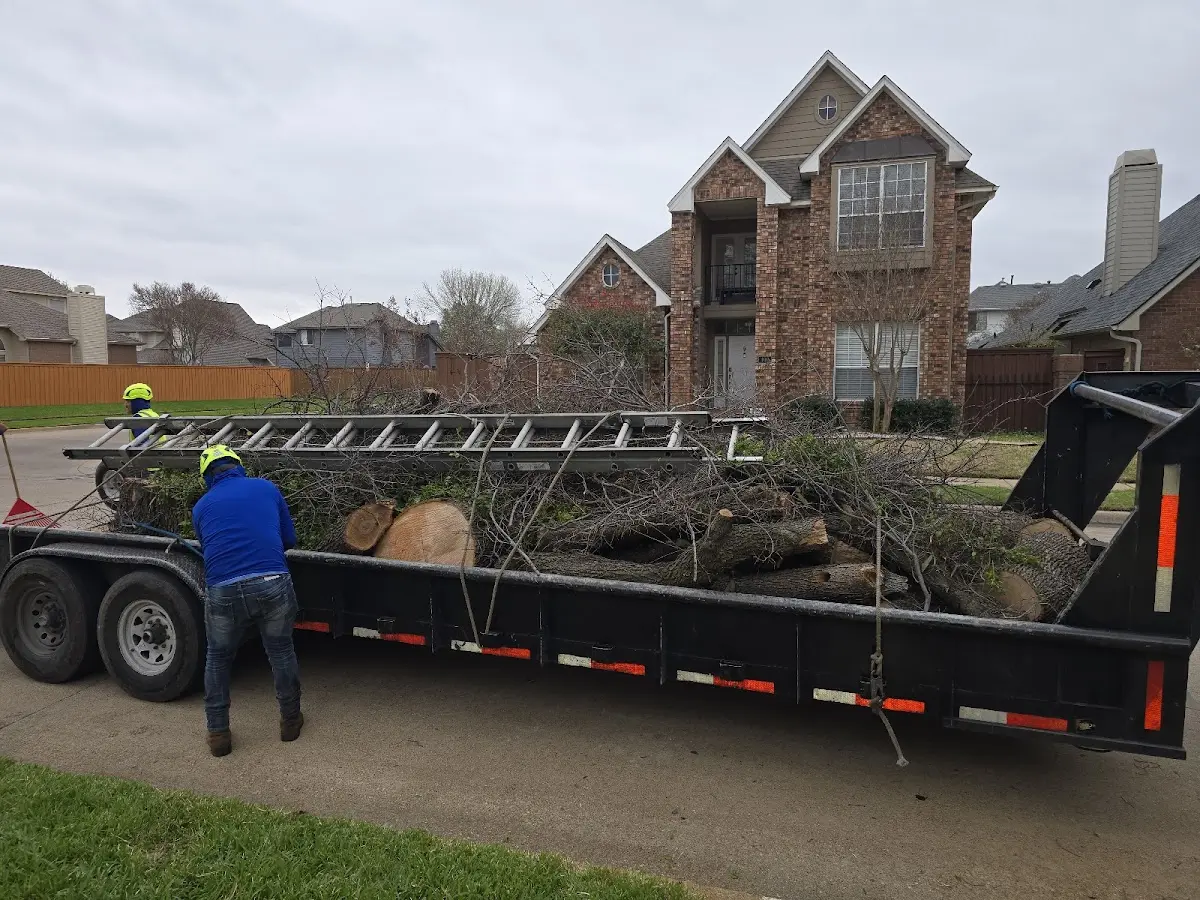 Expert Lot Clearing with proper safety equipment in Crooks